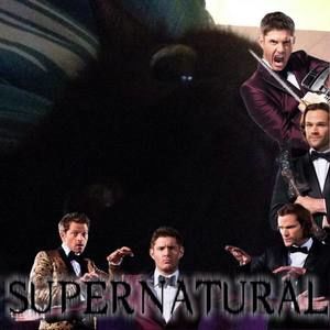 Meet your Posher, Keeley